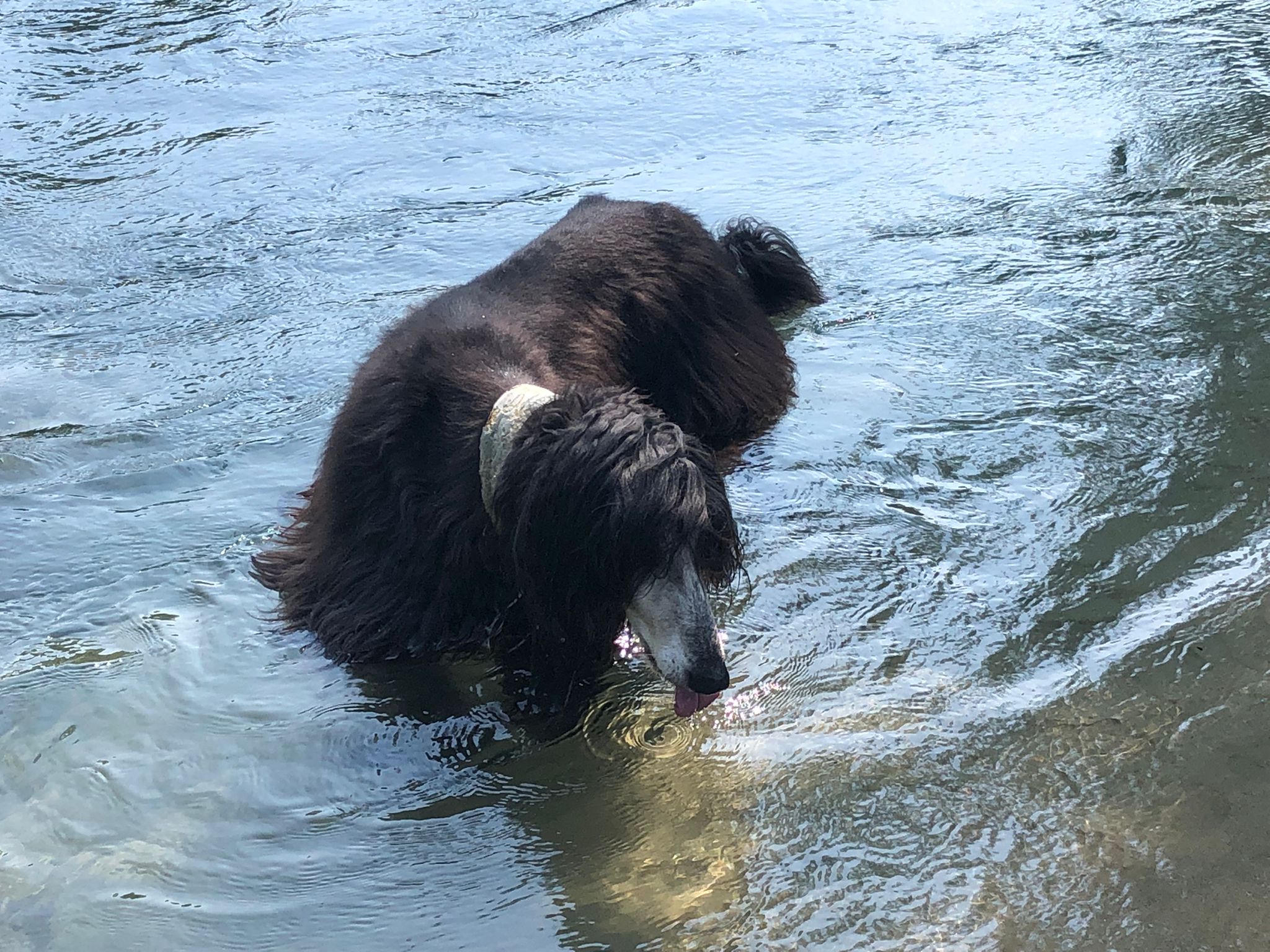 Happy Birthday schöner Ajan!